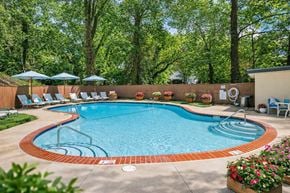 Catonsville apartment for rent - A pool surrounded by trees and chairs.