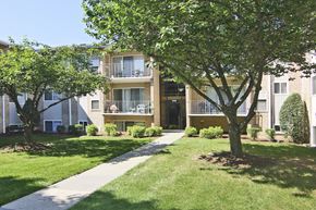 Frederick apartment for rent - A tree in front of a building with a walkway in between.