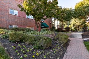 Baltimore apartment for rent - a walkway in front of a brick building with trees and plants