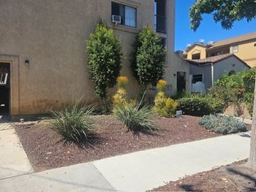 Long Beach apartment for rent - A brown building with a green tree in front.