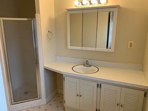 Mclean apartment for rent - A bathroom with a sink, mirror, and shower.