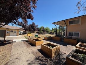 Portland apartment for rent - A sunny day at a community garden with raised beds and a small building in the background.