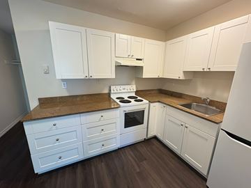 Victoria apartment for rent - A kitchen with white cabinets and a granite countertop.