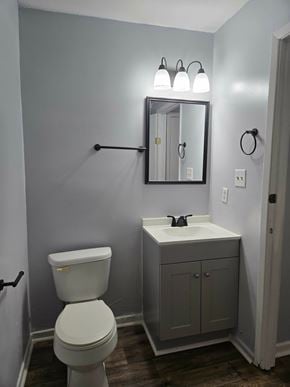 Hattiesburg apartment for rent - A bathroom with a toilet, sink, mirror and light fixture.