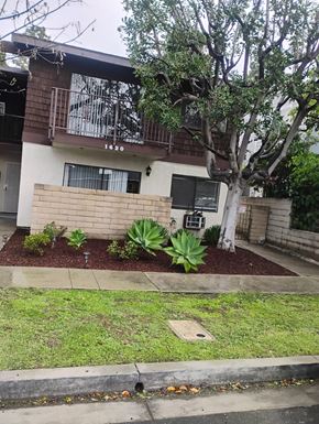 Long Beach apartment for rent - A tree in front of a house with a balcony.