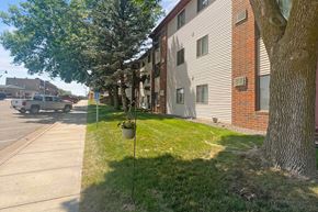 Foley apartment for rent - A tree in a pot is on the grass next to a sidewalk.