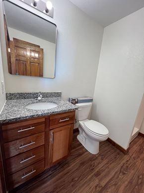 Grinnell apartment for rent - A white toilet sits in a bathroom with a wooden cabinet and granite countertop.