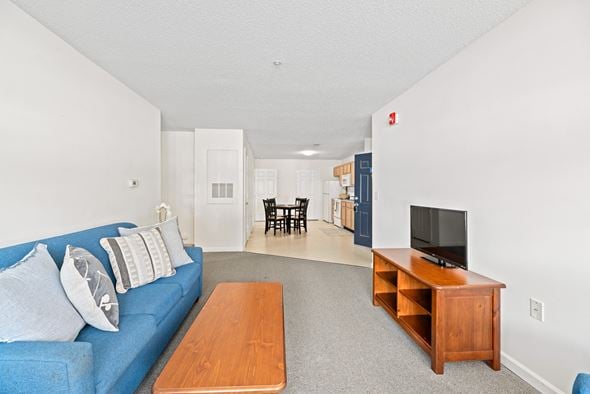 Farmville apartment for rent - a living room with a blue couch and a television