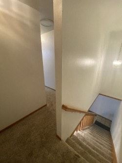 Anchorage house for rent - A staircase with a carpeted floor and wooden steps.