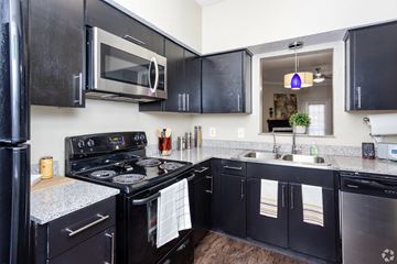 Dallas apartment for rent - a kitchen with black cabinets and stainless steel appliances and a sink