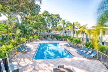 Tampa apartment for rent - A large outdoor swimming pool surrounded by trees and lounge chairs.