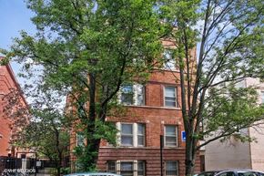 Chicago apartment for rent - a brick apartment building with a tree in front of it