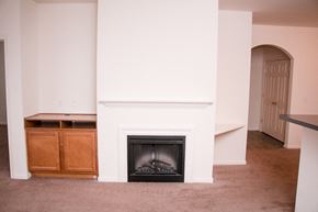 Lynchburg apartment for rent - a living room with a fireplace and a white wall
