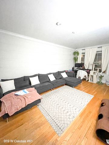 Chicago apartment for rent - a living room with a couch and a rug