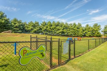 Leash free bark park with agility equipment