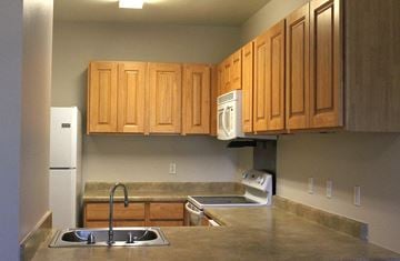 New Orleans apartment for rent - a kitchen with wooden cabinets and a stainless steel counter top