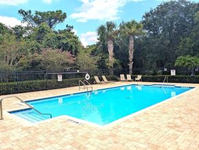 Orlando house for rent - A pool surrounded by trees and a black fence.