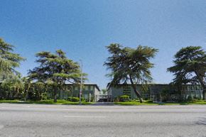 Los Angeles apartment for rent - A tree in front of a building.