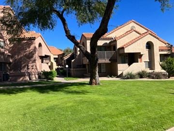 Tempe house for rent - a house with a yard and a tree in front of it