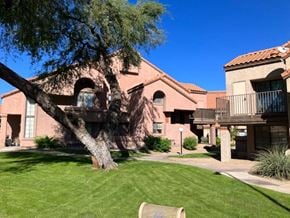 Tempe house for rent - a large house with a tree in the yard