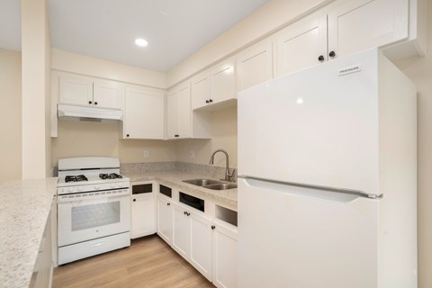 Floor plan for 1 bed, 1 bath