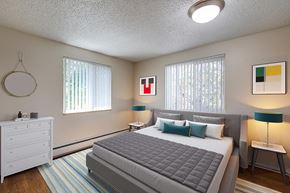 Denver apartment for rent - a bedroom with a bed and two windows