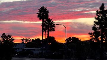 San Marcos house for rent - A beautiful sunset with palm trees silhouetted against the sky.