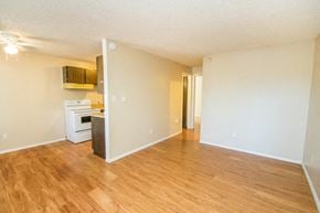 Boulder apartment for rent - 3161 Madison Avenue P218 Main Living Area