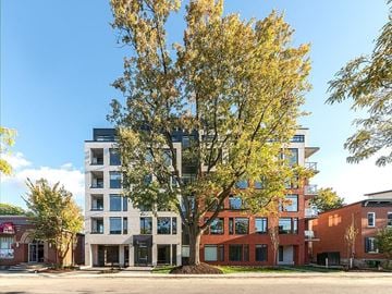 Ottawa apartment for rent - A tree with yellow leaves stands in front of a modern building.