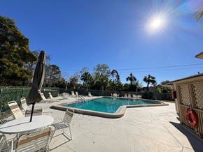 Bradenton house for rent - A sunny day at the pool with chairs and umbrellas.
