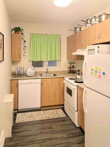 Winnipeg apartment for rent - A kitchen with a white fridge and a white dishwasher.