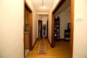 Winnipeg apartment for rent - A hallway with a rug on the floor and a plant in the background.