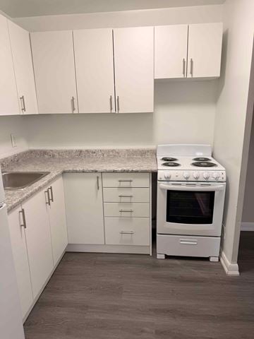 Toronto apartment for rent - A white kitchen with a stove and sink.