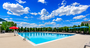 Hagerstown apartment for rent - A large swimming pool surrounded by trees and umbrellas.