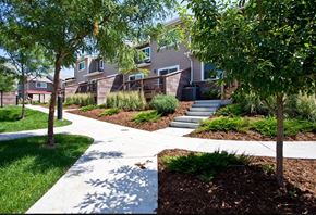 Longmont townhouse for rent - A tree-lined walkway leads to a building.