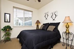 Longmont apartment for rent - A bedroom with a bed, two lamps, and a plant.