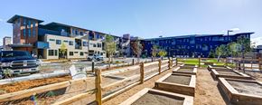 Longmont apartment for rent - A community garden with raised beds in the foreground and apartment buildings in the background.