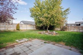 Pasco house for rent - A backyard with a paved walkway and a tree.