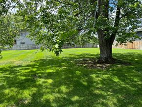 Pasco apartment for rent - A tree in a grassy field with a building in the background.