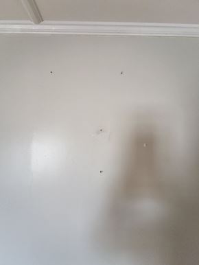 Statesboro house for rent - A white wall with three small black dots on it.