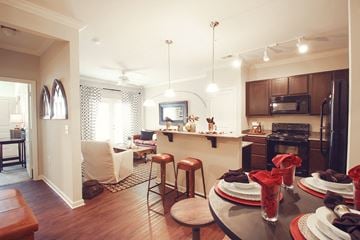 Greenville apartment for rent - a view of the kitchen and living room from the dining room table