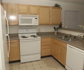 Greenville apartment for rent - a kitchen with a stove microwave and sink