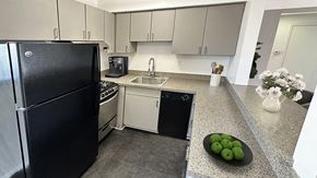 Royal Oak apartment for rent - Cool grey contempo cabinetry, stainless steel or black appliances, breakfast bar, slate grey flooring