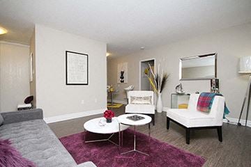 Ottawa apartment for rent - A living room with a grey couch and a white chair.