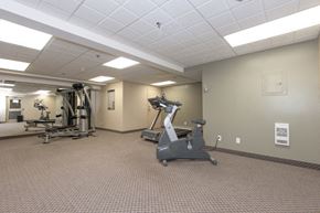 Guelph apartment for rent - A gym with a variety of equipment including a treadmill, a stationary bike, and a weight bench.