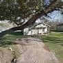 El Campo apartment for rent - A tree in a yard with a house in the background.