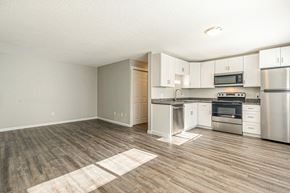 Denver apartment for rent - Source URL: https://medialibrarycf.entrata.com/100130/MLv3/3/27/2025/02/11/023122/67abc1a9232ed0.98844128661.jpg