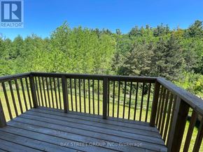Aurora (Aurora Estates) house for rent - A lush green forest with a clear blue sky above.