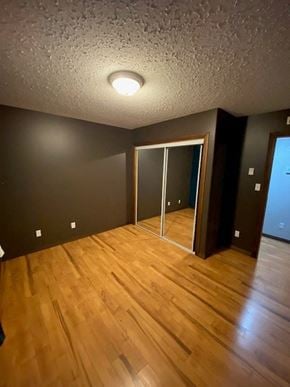 Brandon apartment for rent - A room with wooden flooring and a ceiling light.