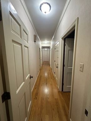 Knoxville, Tn house for rent - A long hallway with white doors and wooden floors.